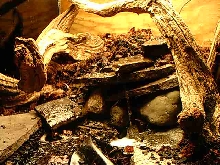 Building a Waterfall/Pond