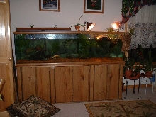 new tank