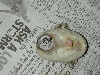 Bad Egg