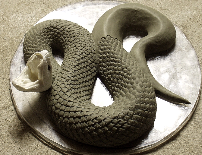 cottonmouth
