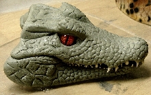 Updated Dwarf Caiman