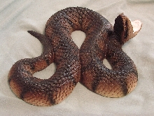 snake5