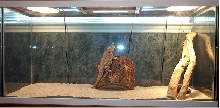 tank