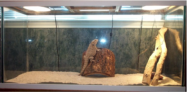 tank