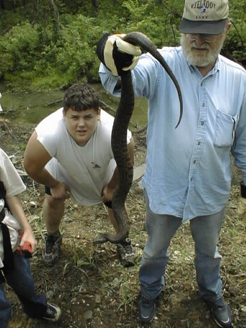 me and a rhombifer