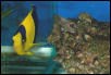 Saltwater Photos