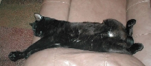 Power Napping - Do Not Disturb