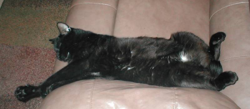 Power Napping - Do Not Disturb