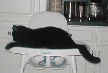 His own personal high chair