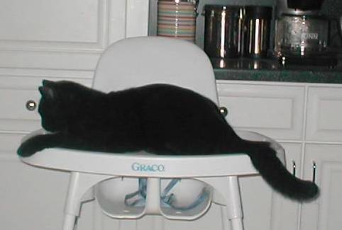 His own personal high chair