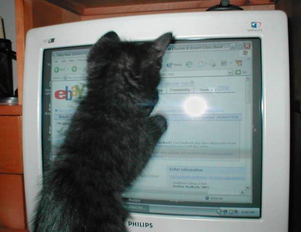 Felix bids on toys on Ebay
