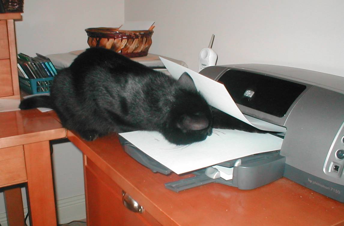Printer problems?