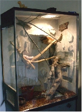 corn snakes terrarium 2