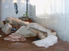 leopards cage side view