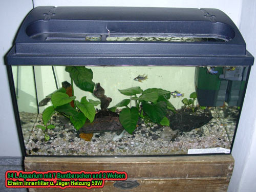 freshwater tank 54l