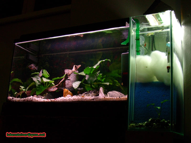 60 L   20 L Filterbecken