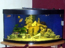 350L Juwel Trio