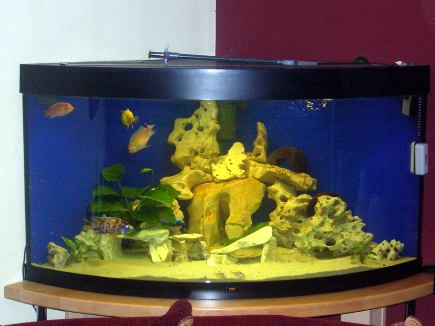 350L Juwel Trio