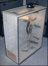 pantherophis guttatus enclosure
