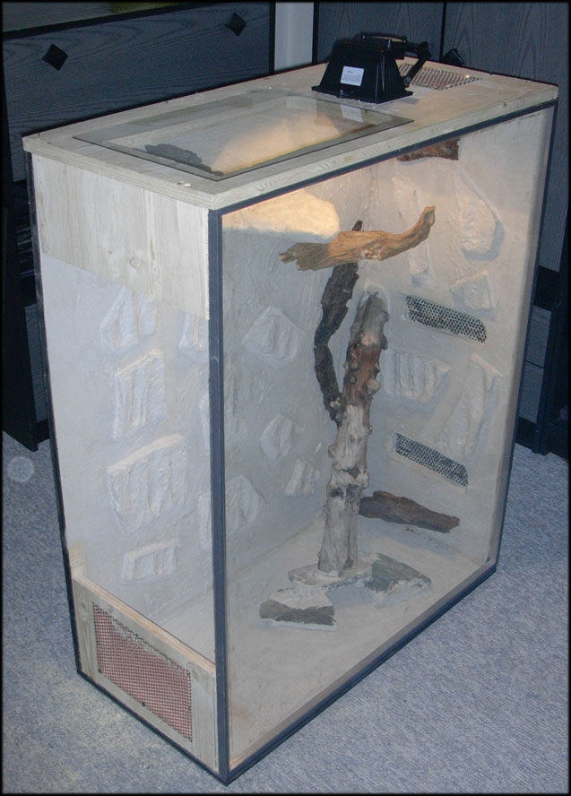 pantherophis guttatus enclosure