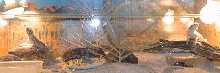 enclosure terrarium
