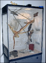 corn snake enclosure terrarium