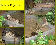 Day at the Spa