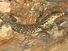 My New Water Monitor
