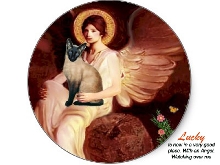 Lucky, my now an Animal Angel
