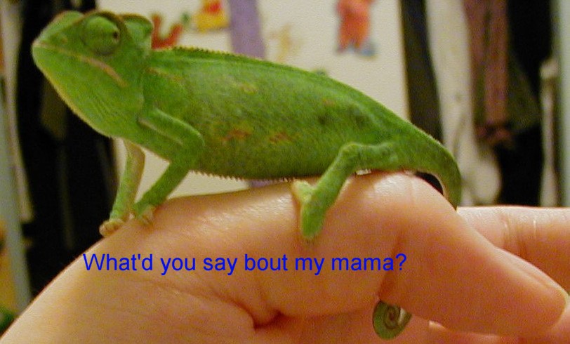 Eh you....