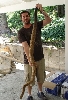 Full length of BTSire