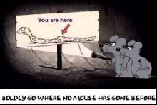 When mice get lost!
