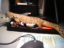 Chillin'