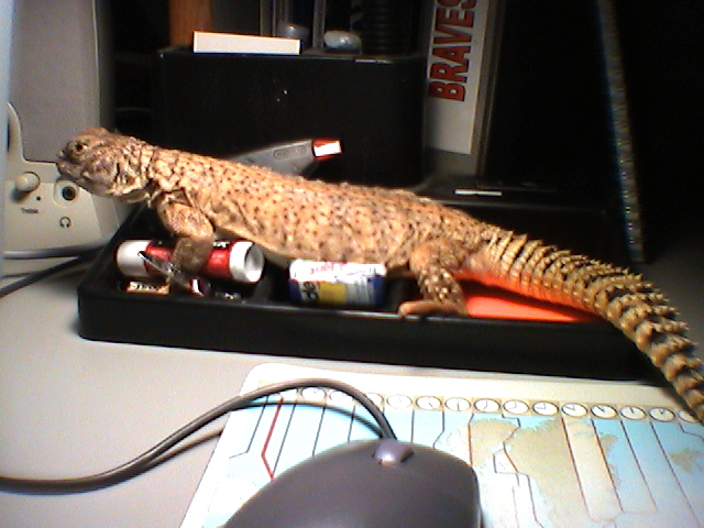 Chillin'