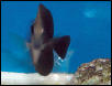 Saltwater Photos