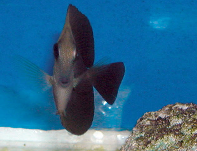 Saltwater Photos