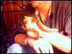 Amazon Tree Boa