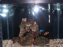 tank1
