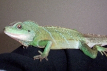 18 mths old