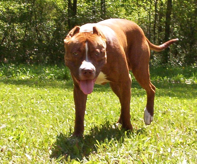 pit