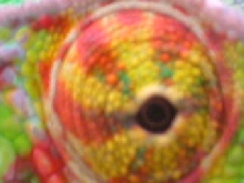 i see you