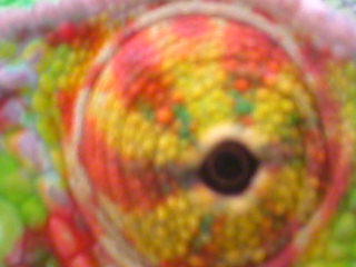 i see you