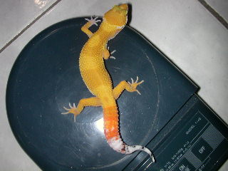 first baby of the season.