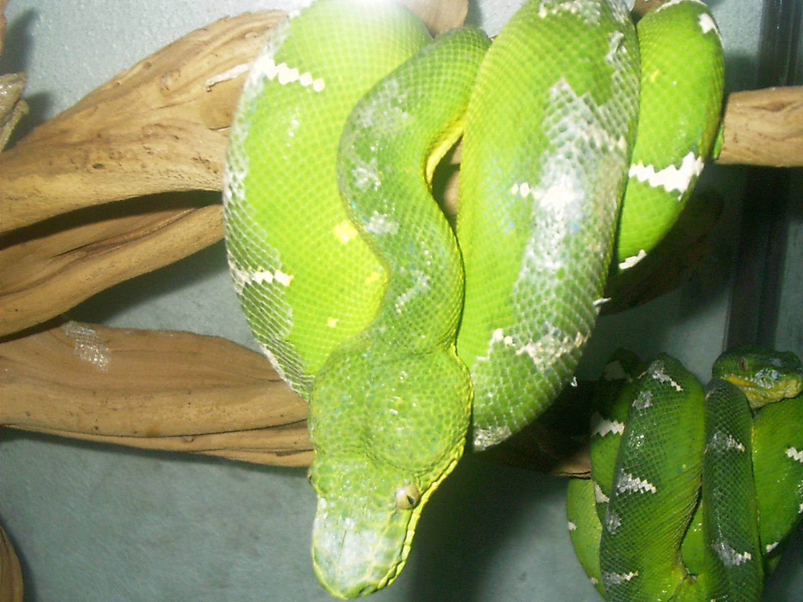 emeralds
