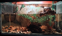 My 30 gallon