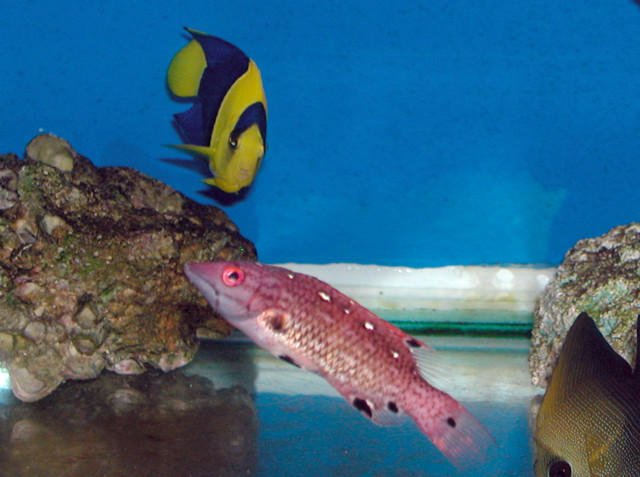 Saltwater Photos