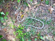 What is This?