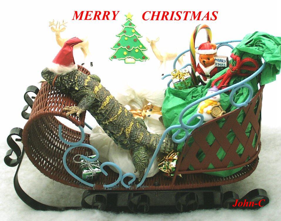 ornate santa sleigh