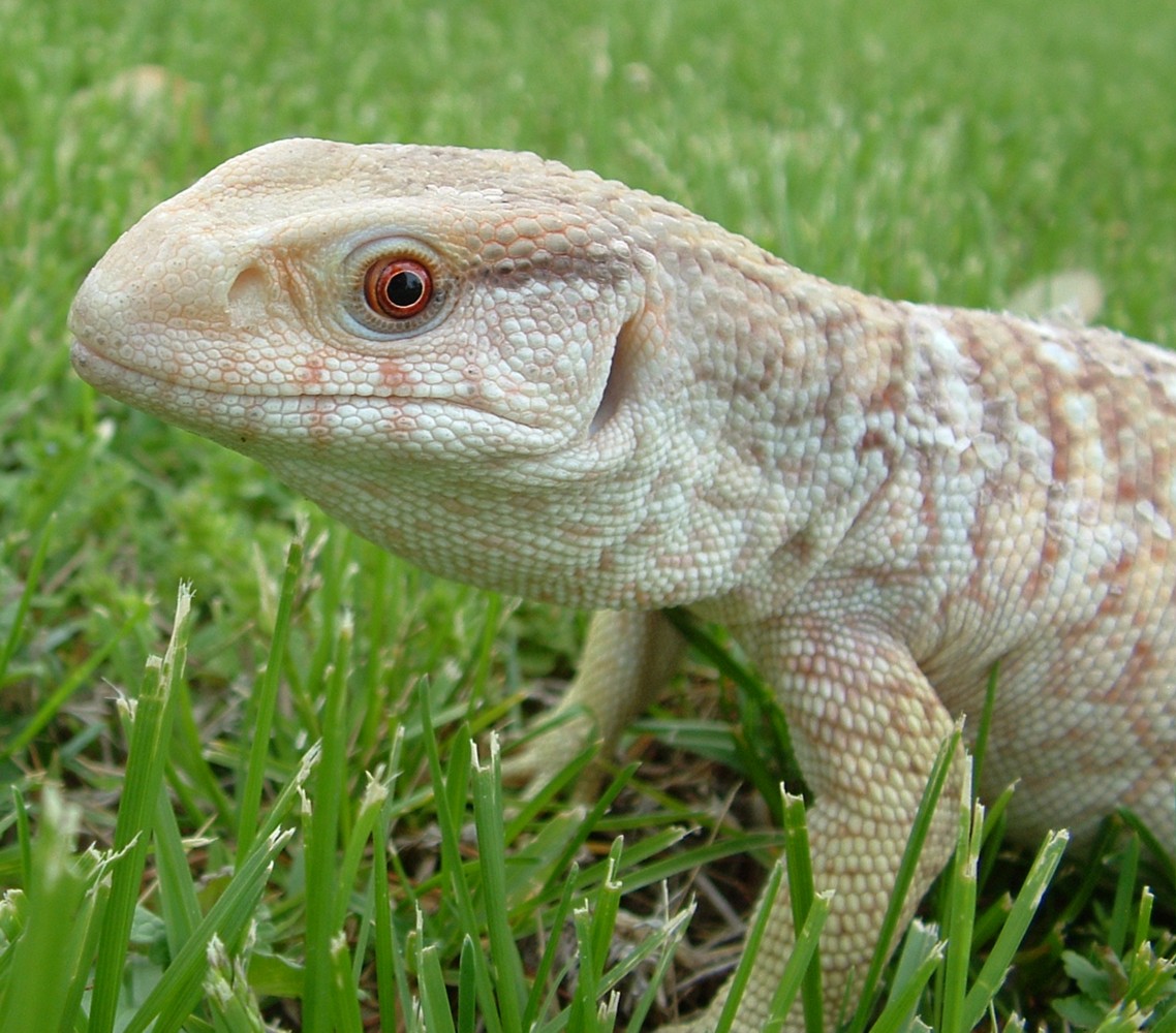 Savannah Headshot