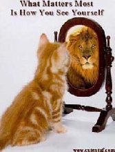 Self Esteme